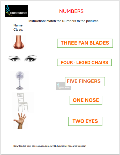 Numbers Worksheet