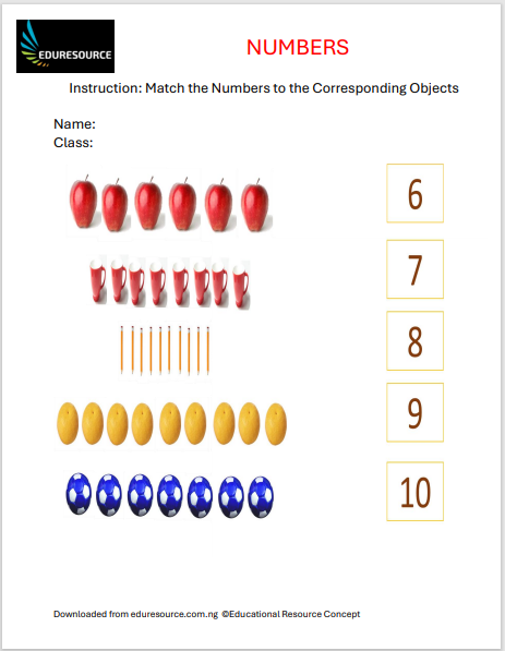 Numbers Worksheet