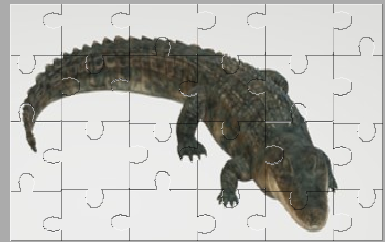 Alligator Jigsaw