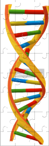 DNA Jigsaw