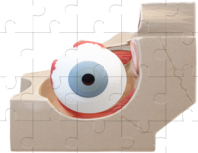 Eye Jigsaw