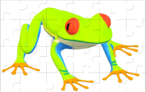 Frog Jigsaw