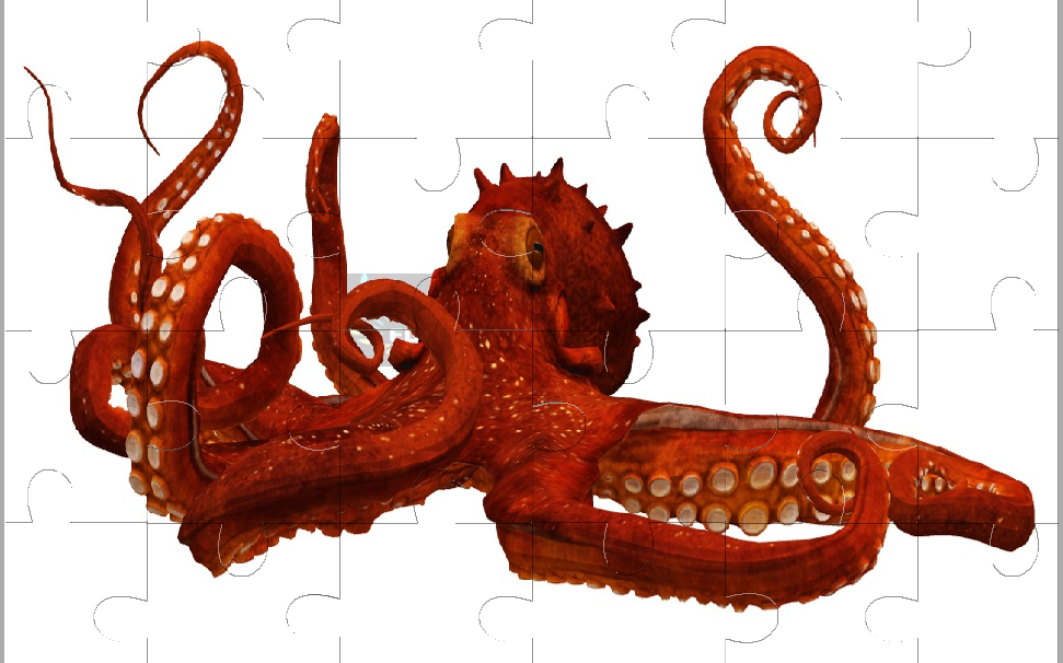 Octopus JIgsaw