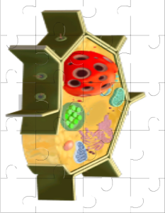 Plant Cell Jigsaw