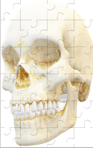 Skull Jigsaw