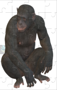 Ape Jigsaw