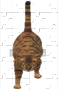 Cat Jigsaw