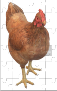 Chicken Jigsaw