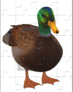 Duck Jigsaw