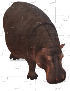 Hippopotamus Jigsaw