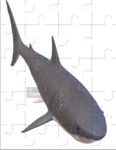 Shark Jigsaw