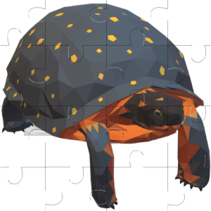 Tortise Jigsaw