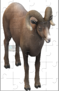 Ram Jigsaw