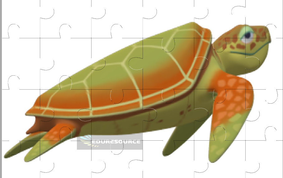 Turtle Jigsaw