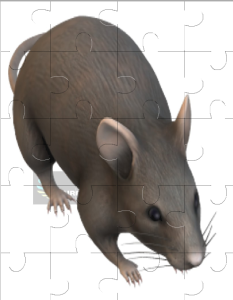 Mouse Jigsaw