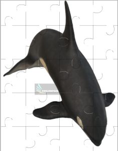 Whale Jigsaw